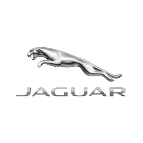 Jaguar - Tops and Bottoms USA
