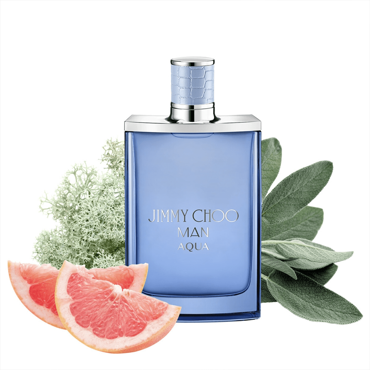 Men's Jimmy Choo Aqua Eau De Toilette Spray 3.4 Oz