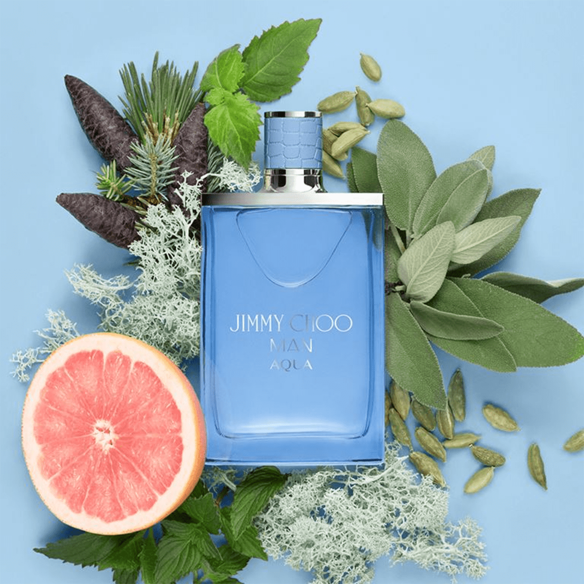 Men's Jimmy Choo Aqua Eau De Toilette Spray 3.4 Oz