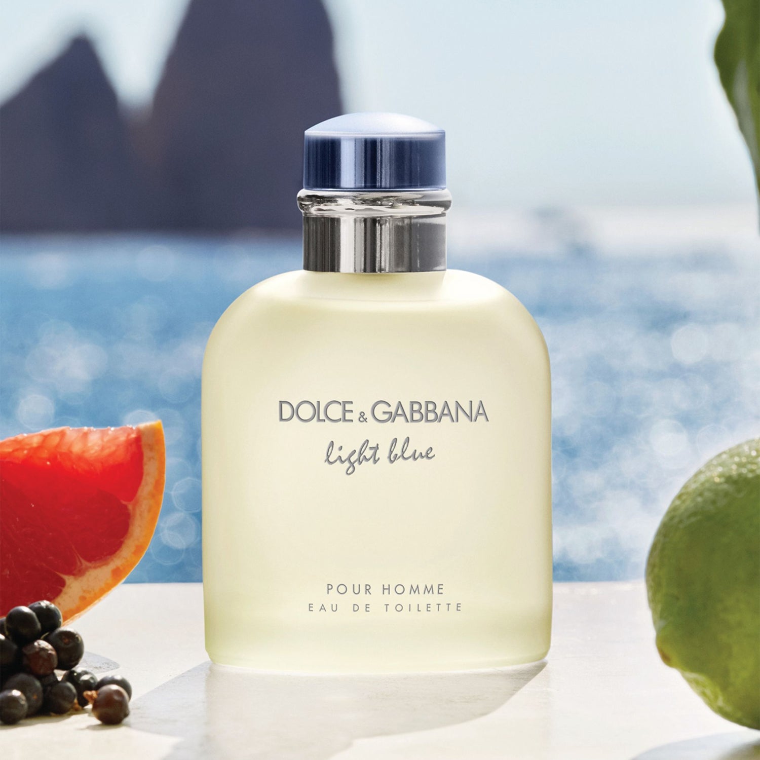 Men's Dolce & Gabbana Light Blue Pour Homme Eau De Toilette 4.2 Oz