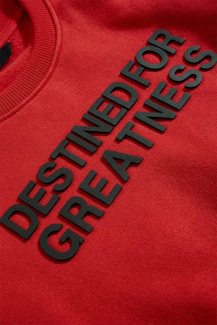 Kid's Destined For Greatness Crew Neck Sweatshirt Jordan Craig - Tops and Bottoms USA