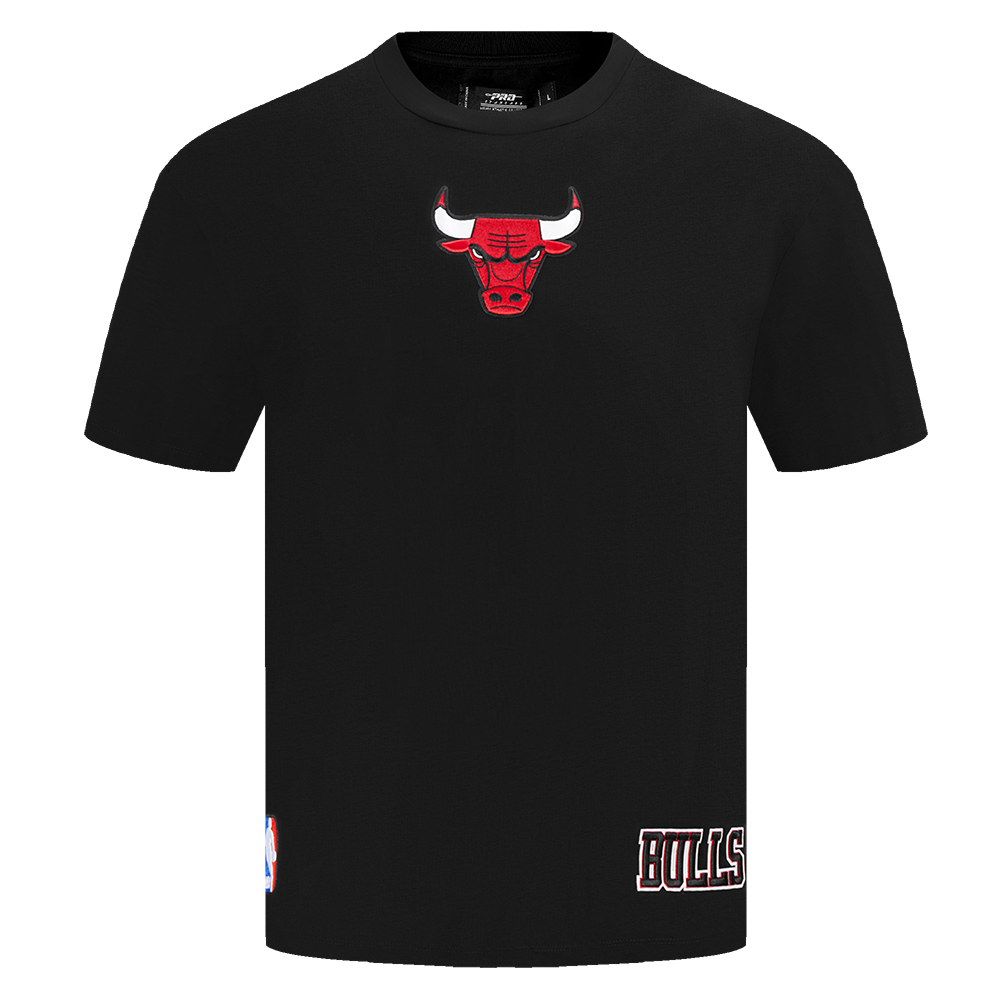 Men's Chicago Bulls NBA Wingspan Drop Shoulder T-Shirt