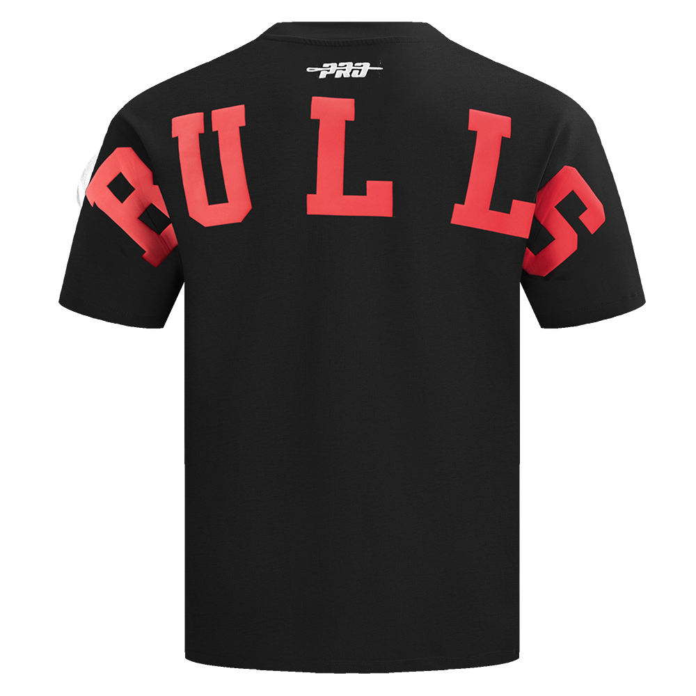 Pro Standard Men's Chicago Bulls Wingspan Drop Shoulder T-Shirt