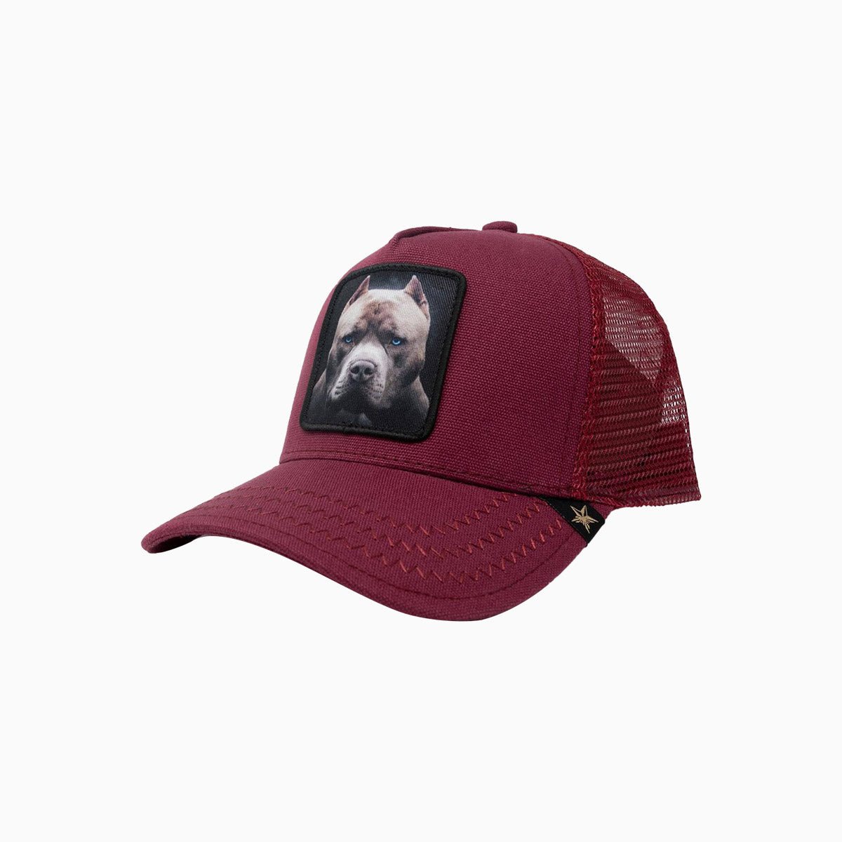 gold-star-hats-the-pit-bull-burgundy-trucker-hat-gs146-burgundy