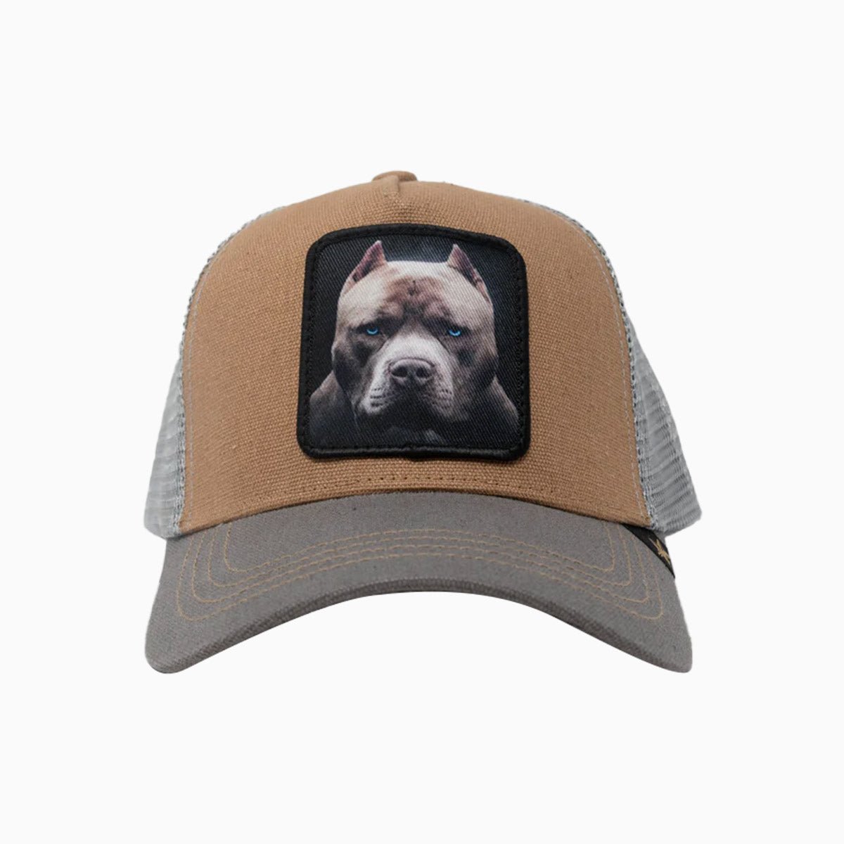 gold-star-hats-the-pitbull-dog-trucker-hat-gs156-brown