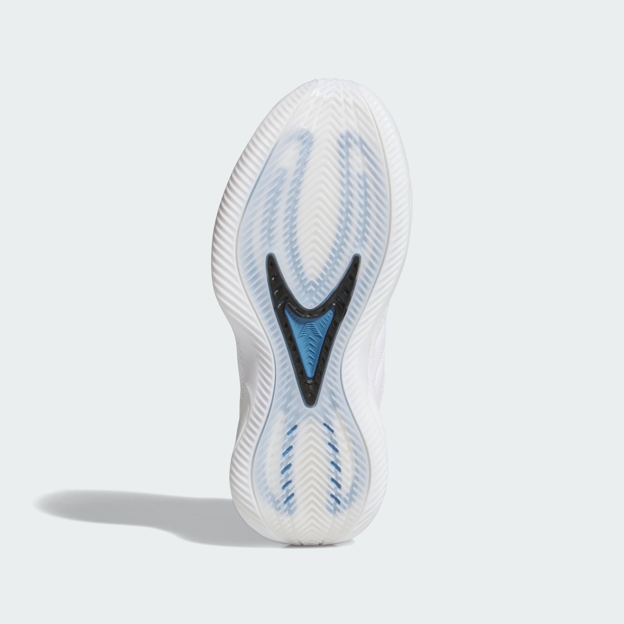 Kid's Anthony Edwards 2 Low "Alphadawg" Grade School