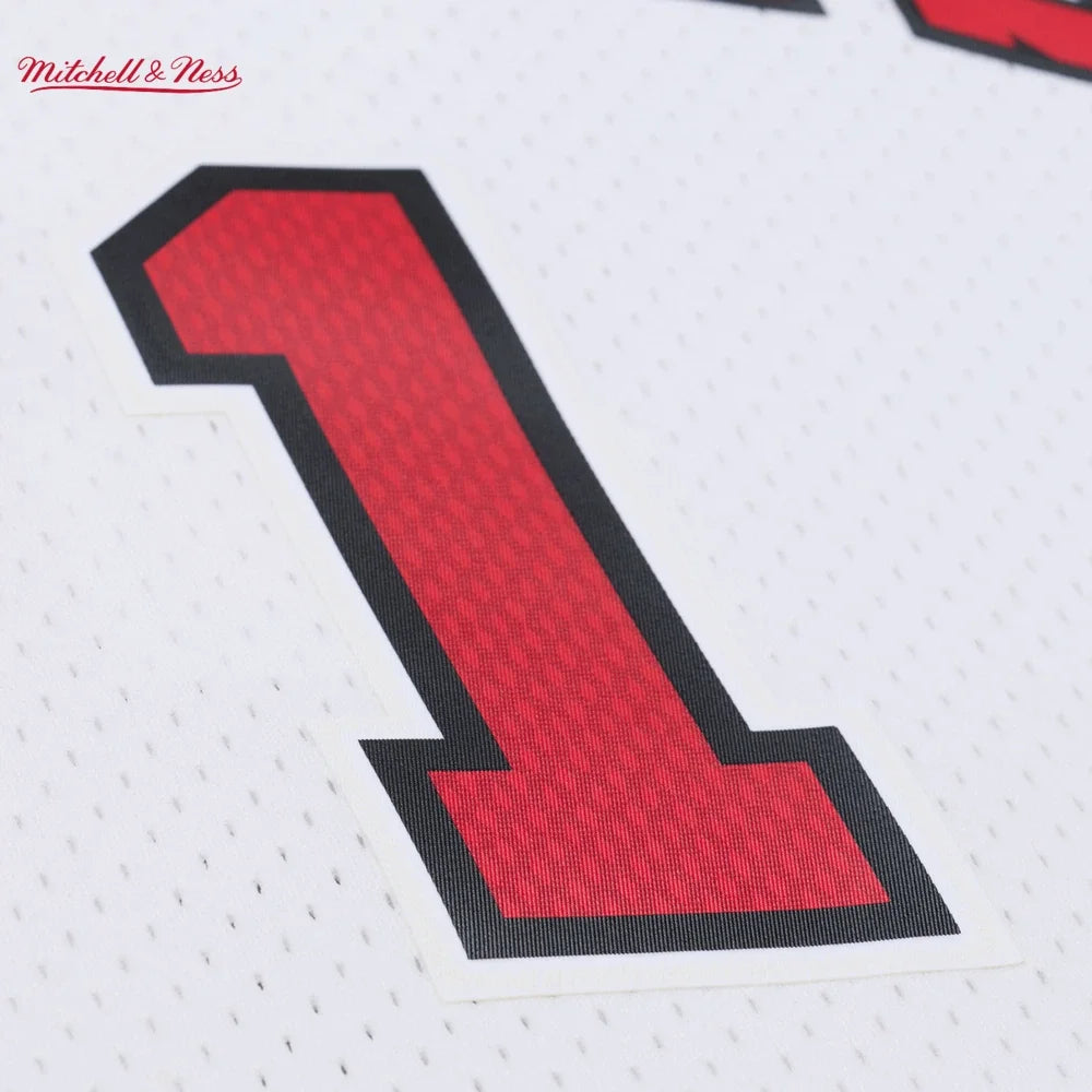 Swingman Derrick Rose NBA Chicago Bulls 2014 Jersey