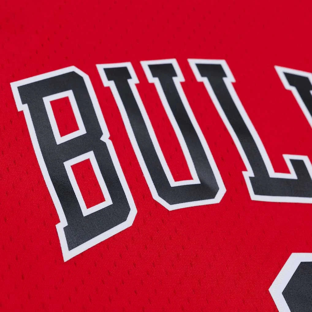 Swingman Derrick Rose NBA Chicago Bulls 2008 Jersey