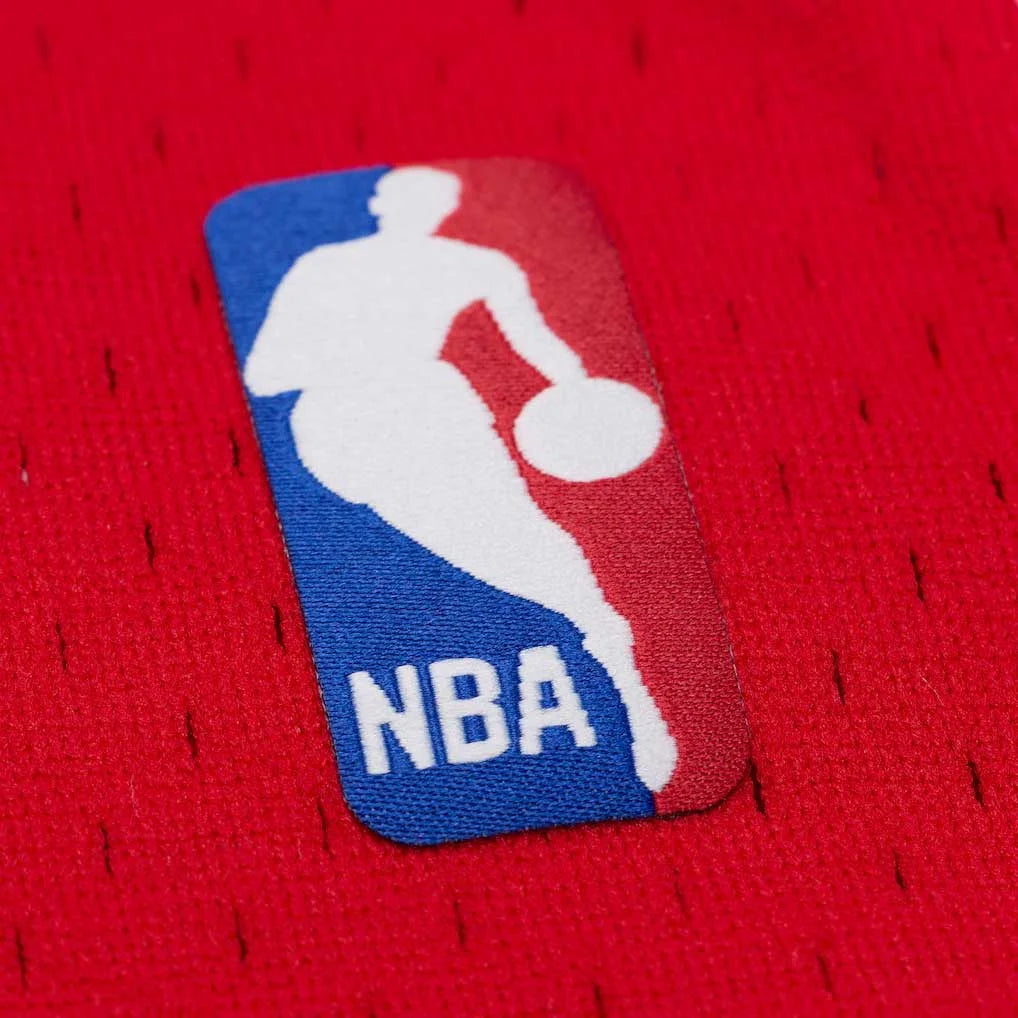 Swingman Derrick Rose NBA Chicago Bulls 2008 Jersey
