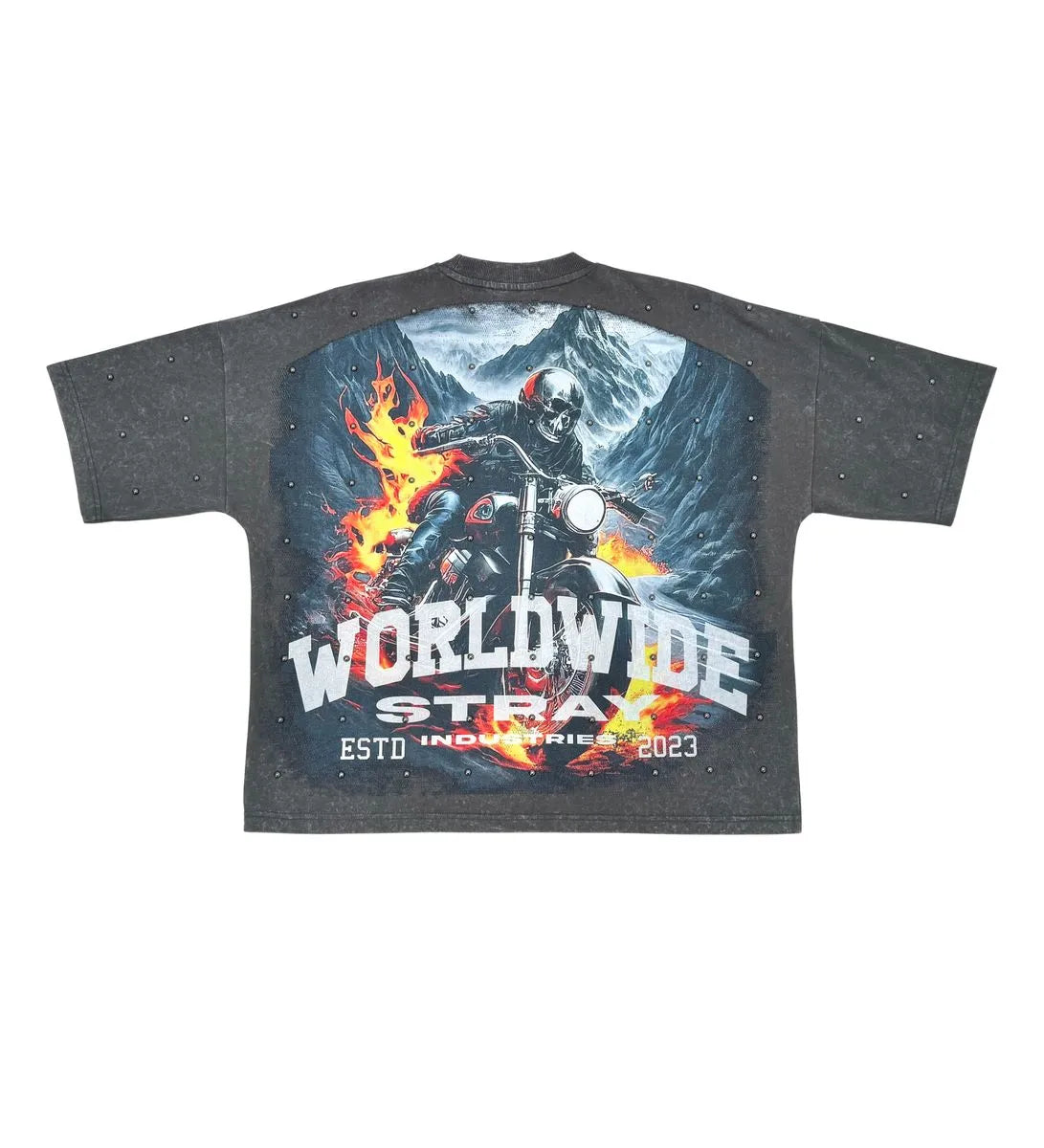 Men's Worldwide Rider Graphic Wide Crop Fit T-Shirt