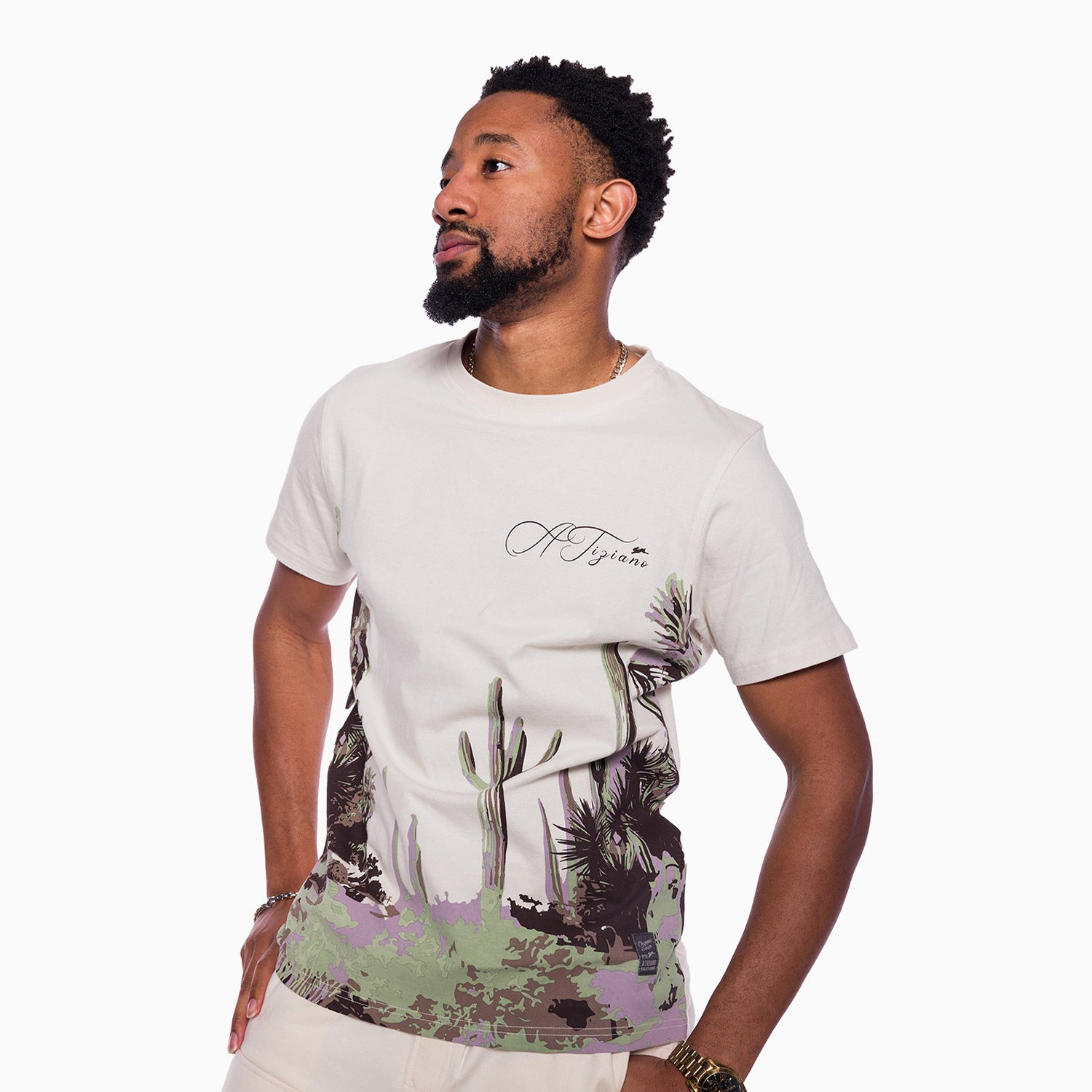 a-tiziano-mens-cayson-crew-neck-t-shirt-42atm4302-birch