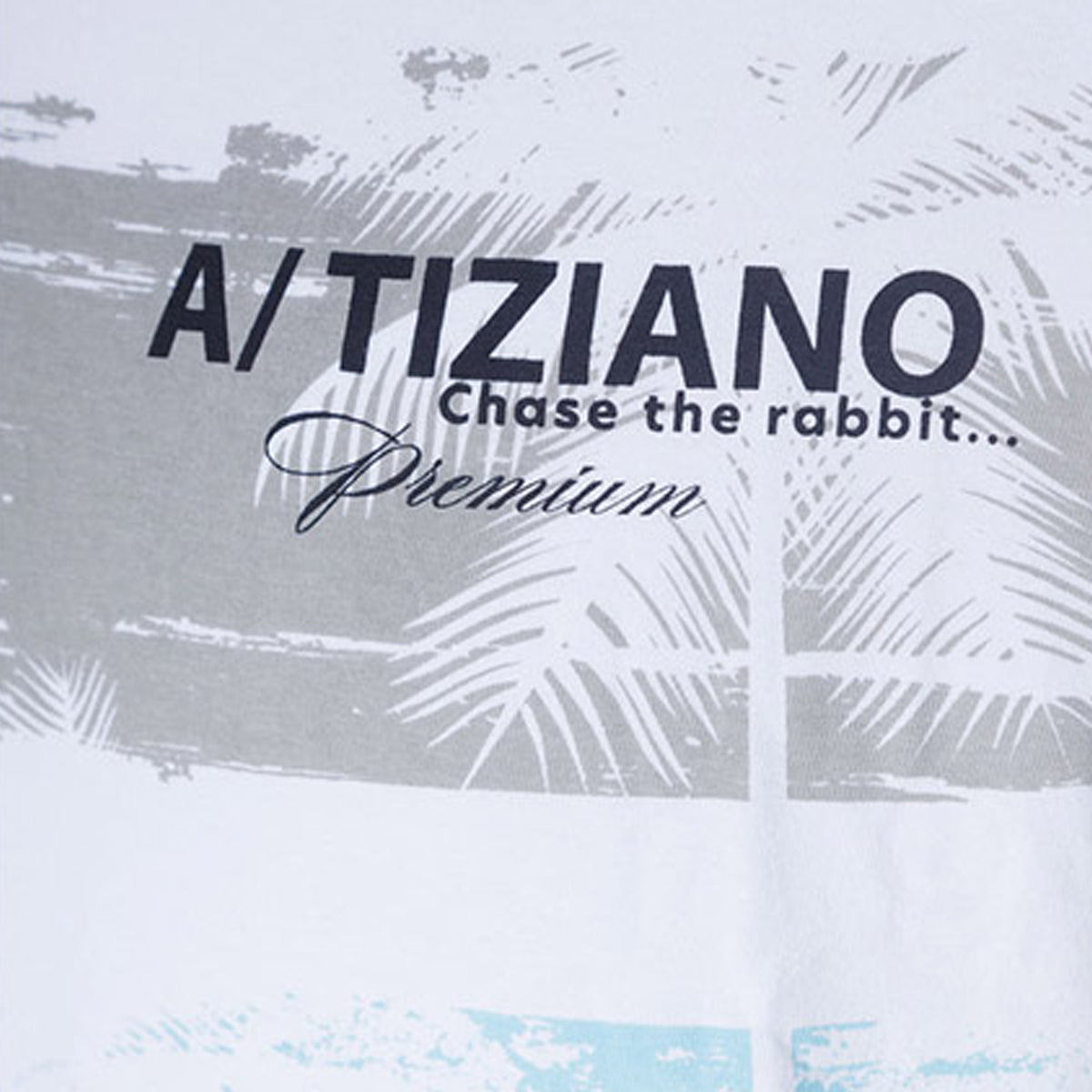 a-tiziano-mens-flynn-jacquard-knit-shorts-42atm1602-drizzle