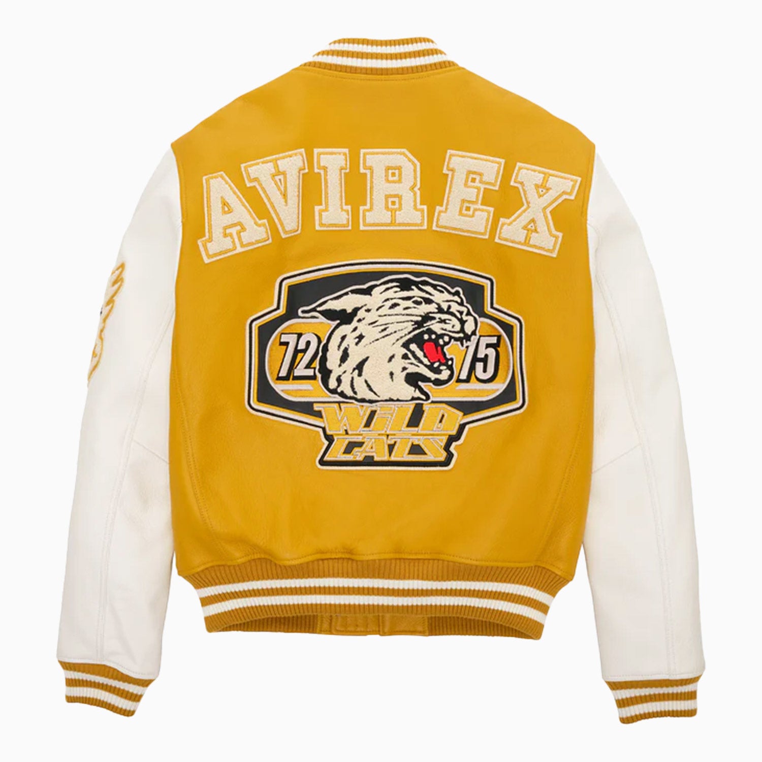 Men's Wildcat Varsity Leather Jacket
