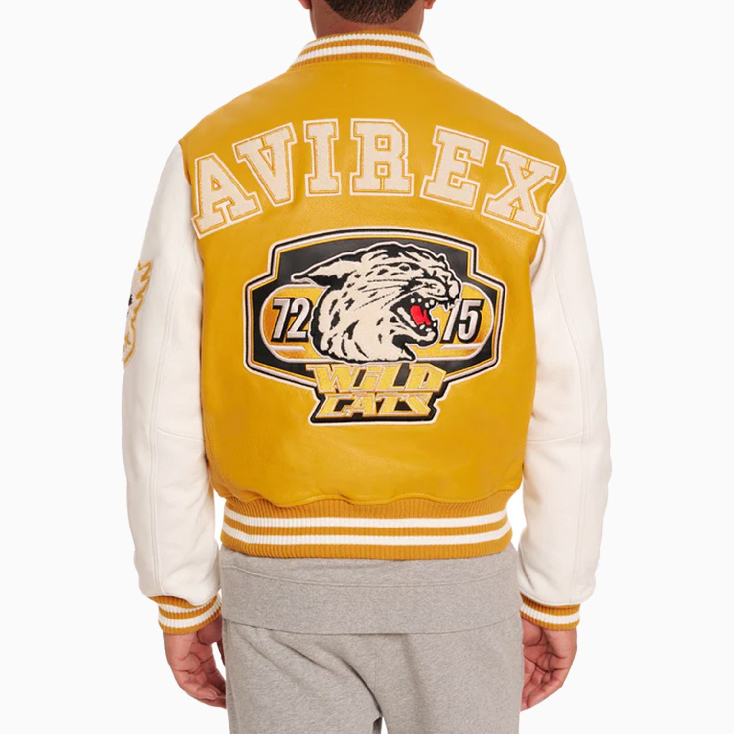 Men's Wildcat Varsity Leather Jacket