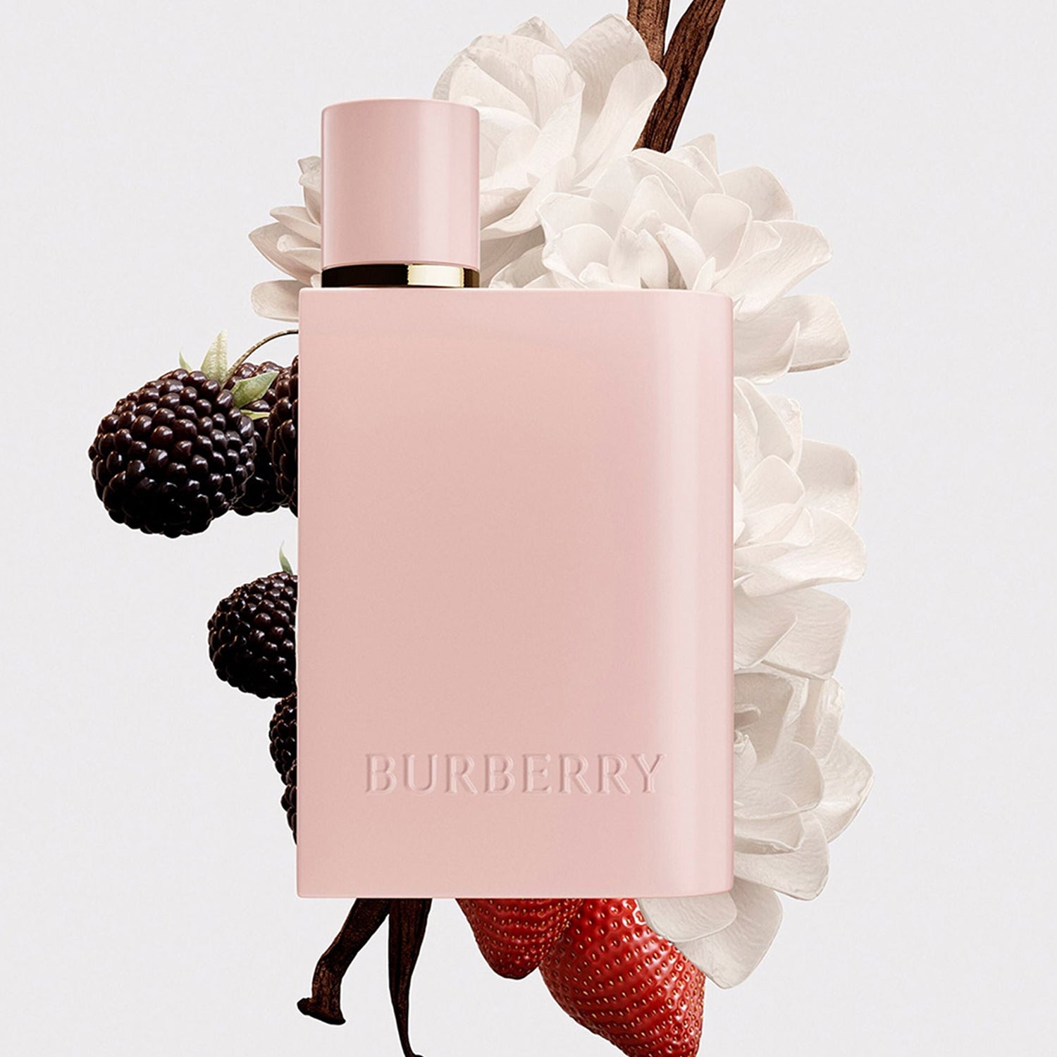 burberry-womens-burberry-her-elixir-de-parfum-3-3-oz-3616304061943