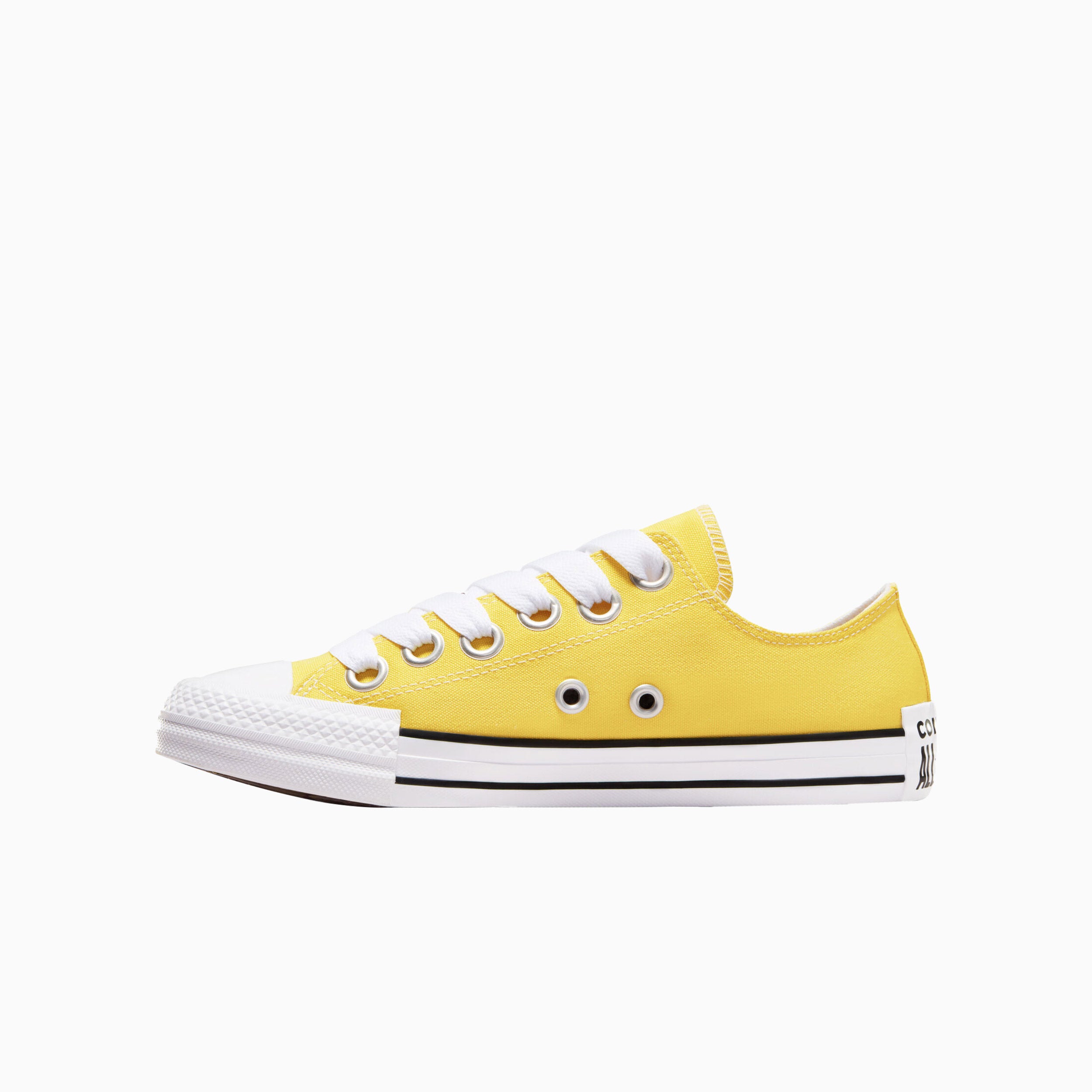 Chuck Taylor All Star Sketch