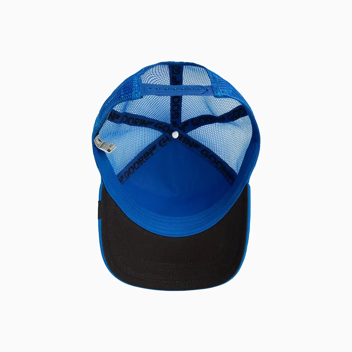 Hollywood Rooster Trucker Hat Goorin Bros - Tops and Bottoms USA