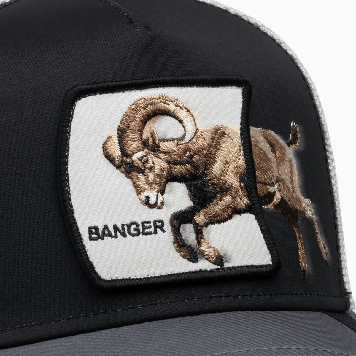 Migration Banger Trucker Hat