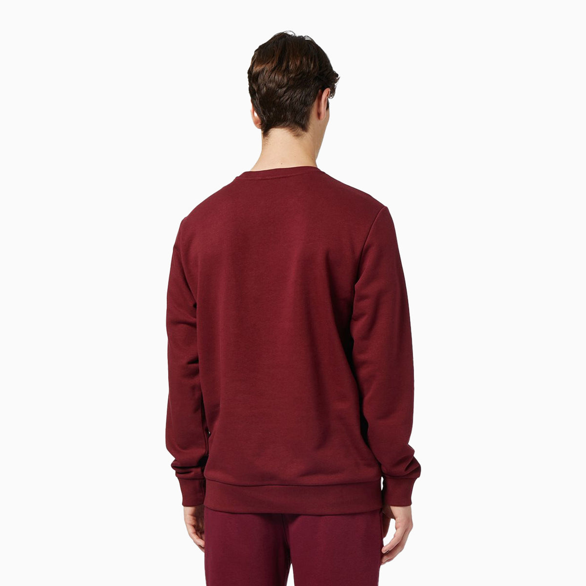 Men_sCrewNeckSweatshirtWithInstitutionalLogo-e05d-6317-4735_