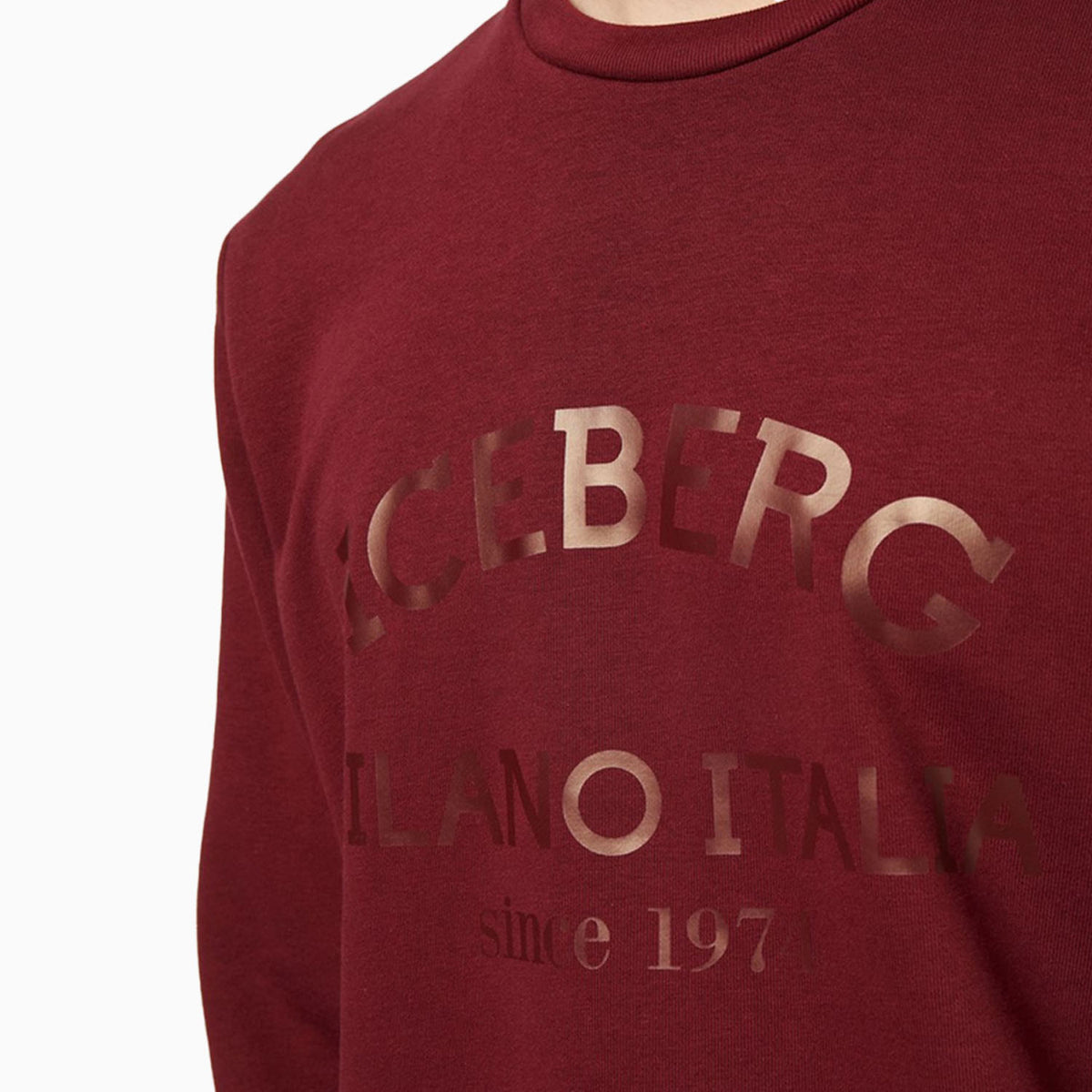 Men_sCrewNeckSweatshirtWithInstitutionalLogo-e05d-6317-4735_