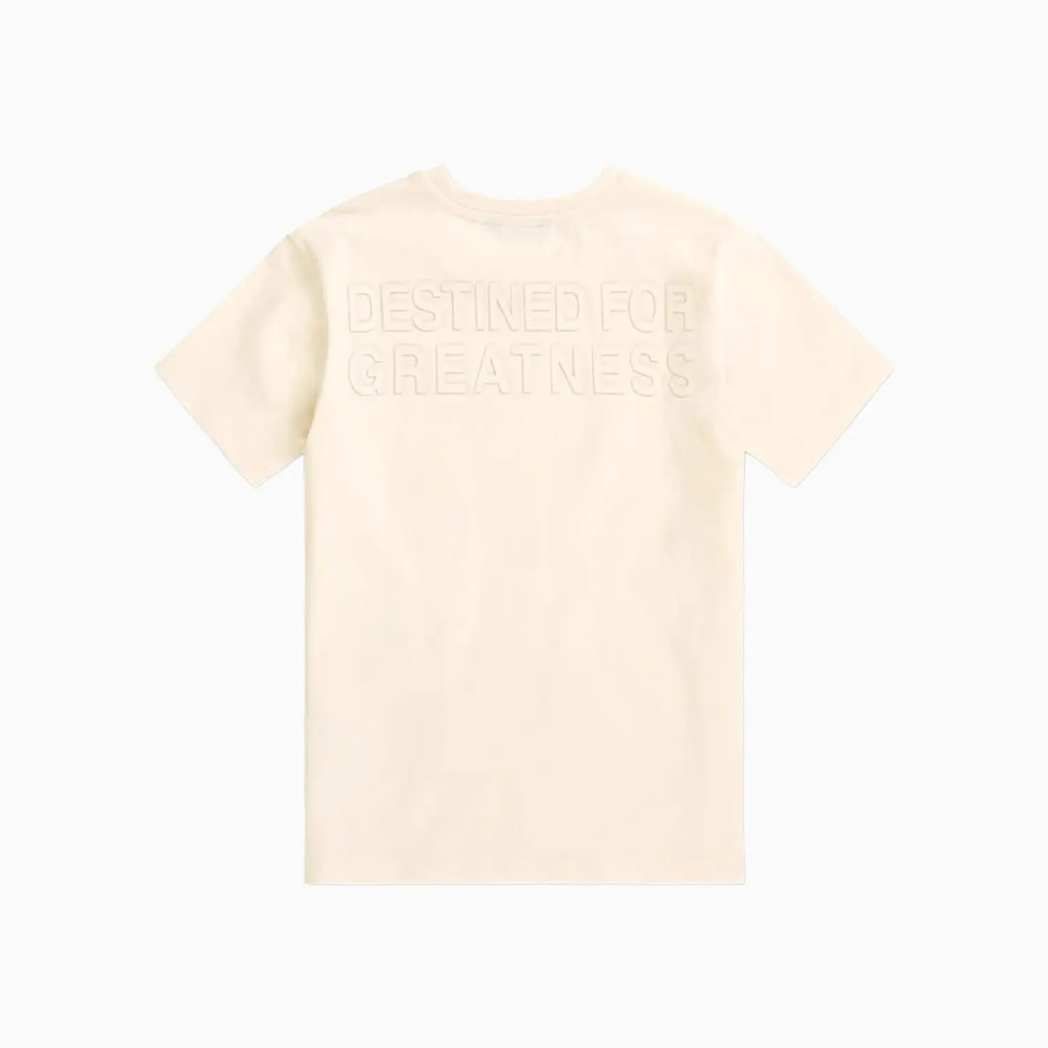 Kid's Destined For Greatness T-Shirt and Shorts Outfit Jordan Craig - Tops and Bottoms USA
