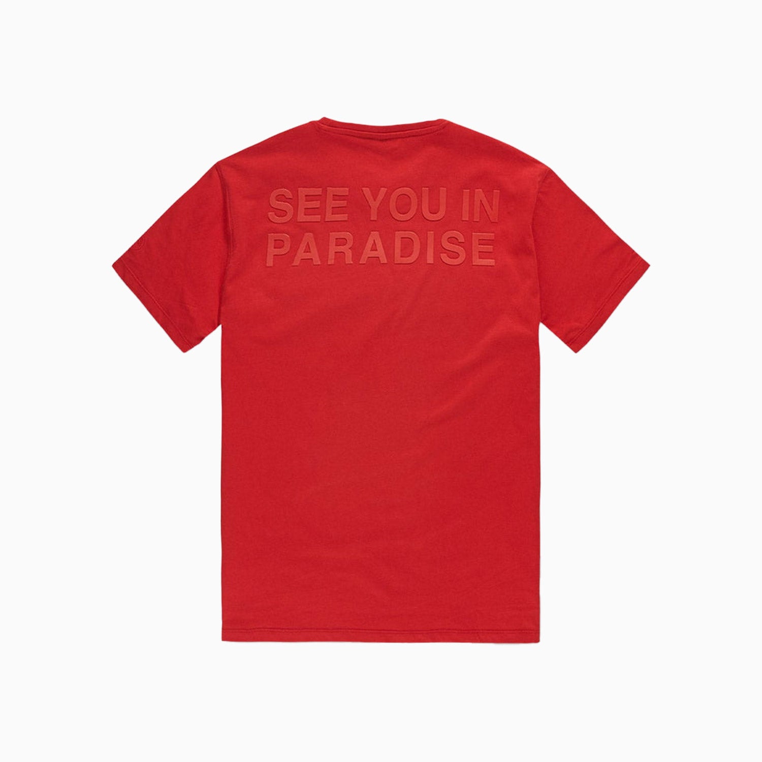 Men's Paradise Tonal T Shirt And Shorts Outfit