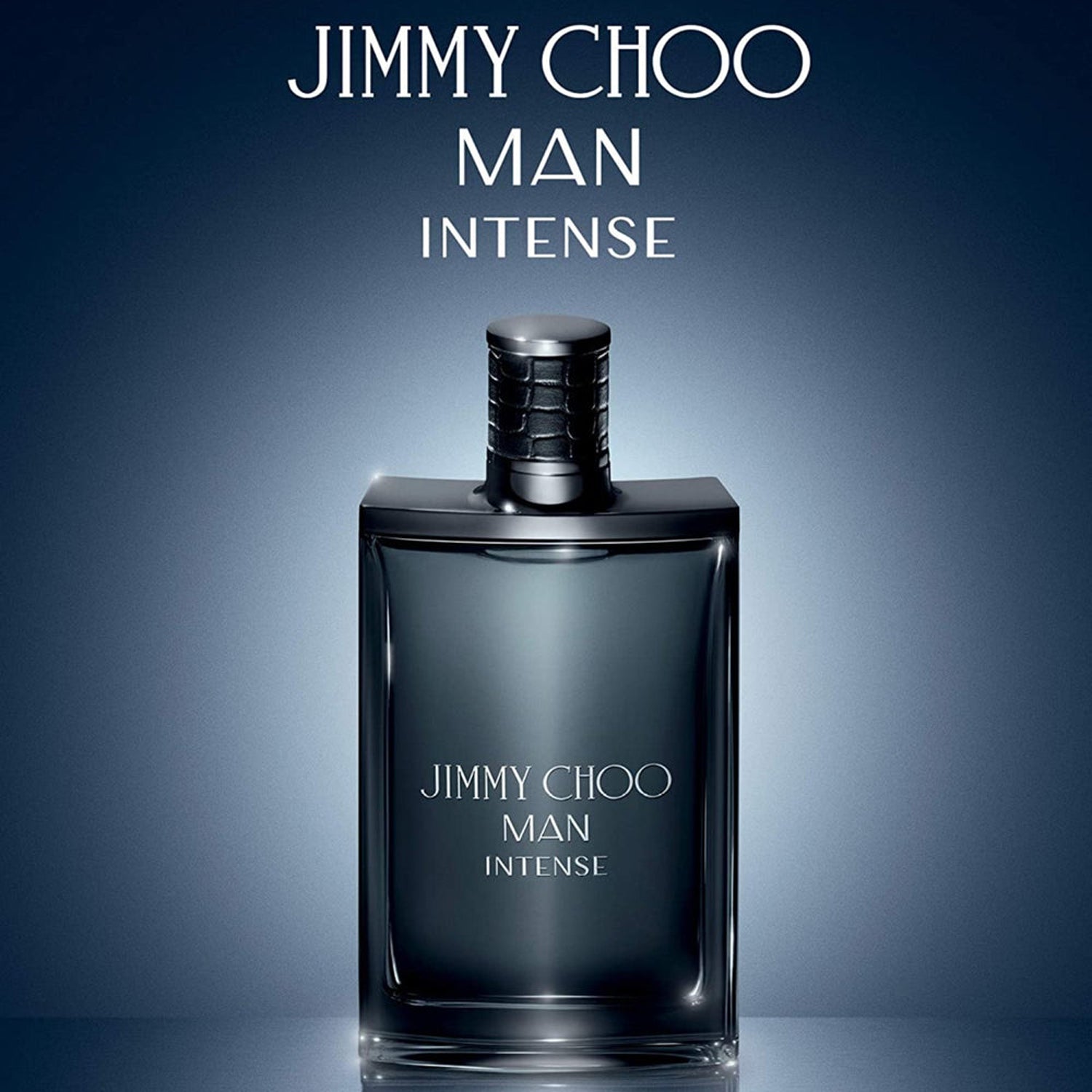 mens-jimmy-choo-man-intense-edt-spray-3-4-oz-3386460078870