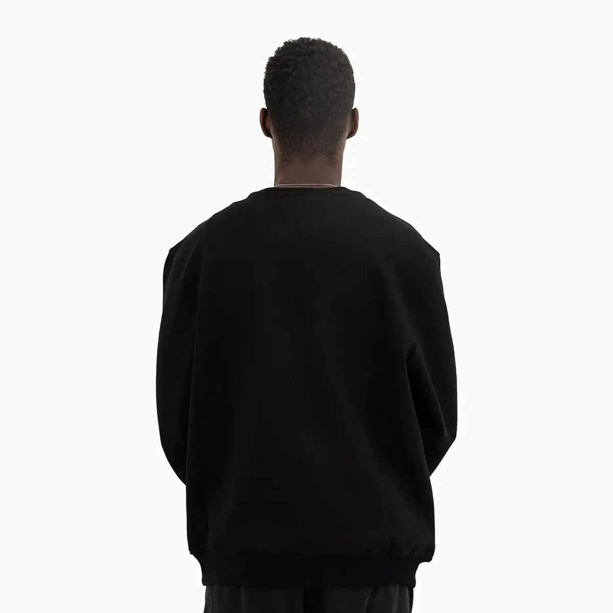 meras-mens-lion-crew-neck-sweatshirt-mc2402-001