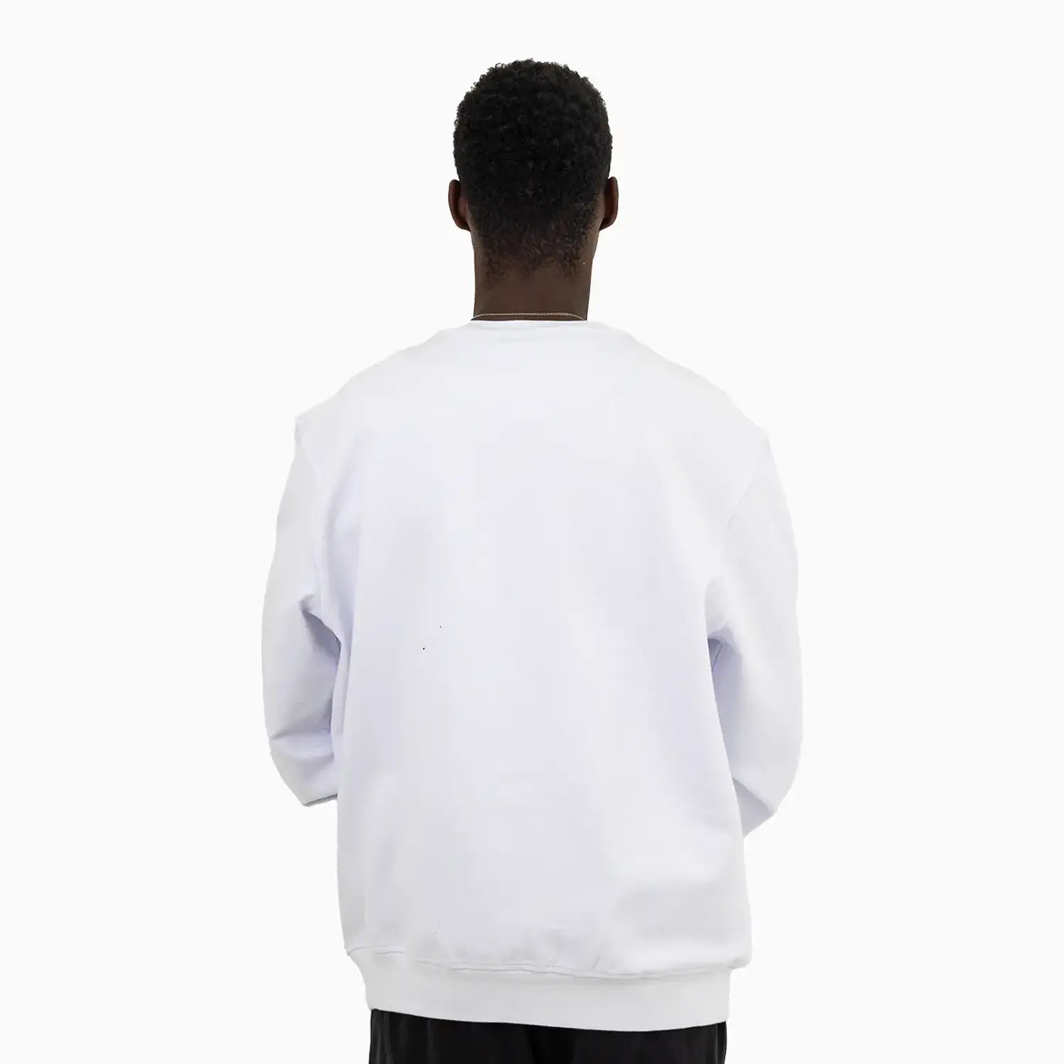 meras-mens-lion-crew-neck-sweatshirt-mc2402-104