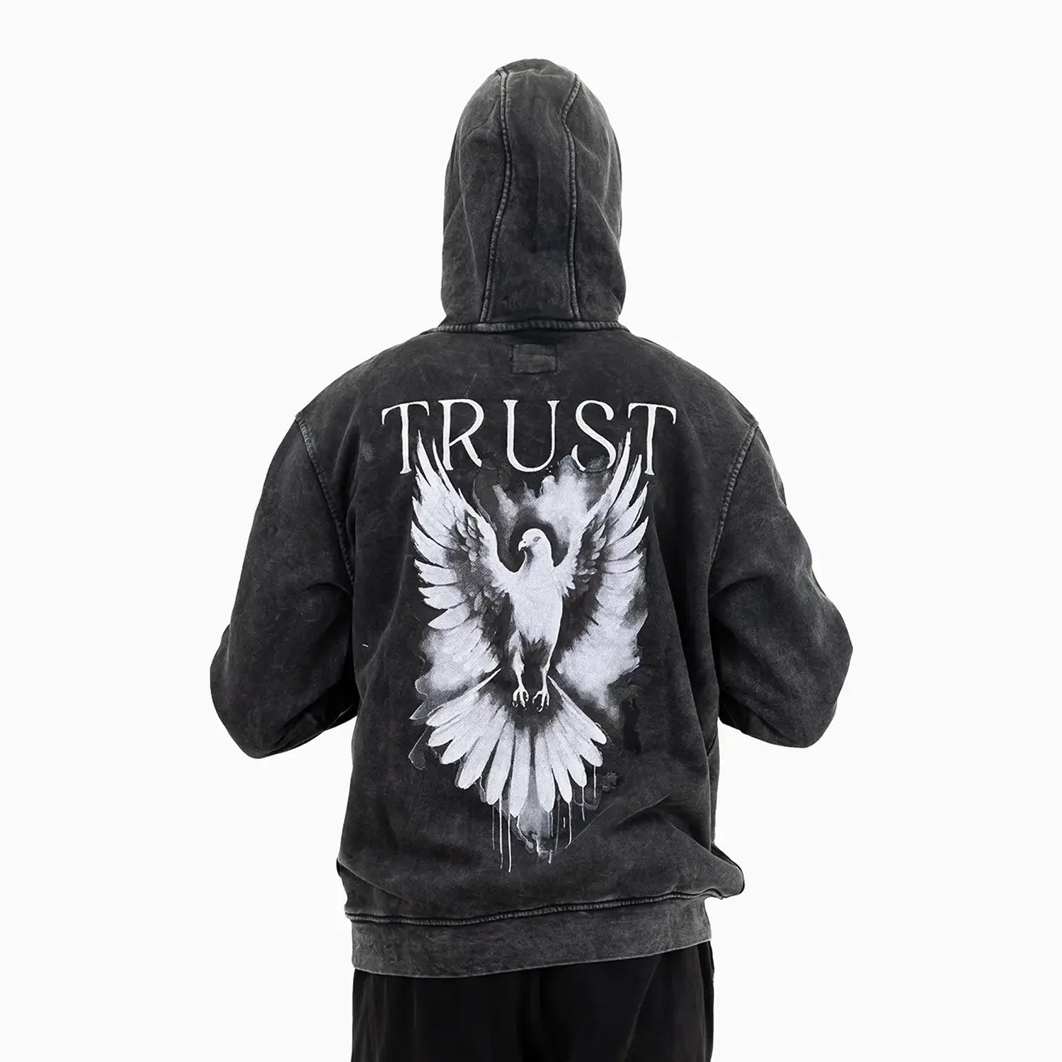 Meras Men's Washed Pigeon Graphic Pull Over Hoodie