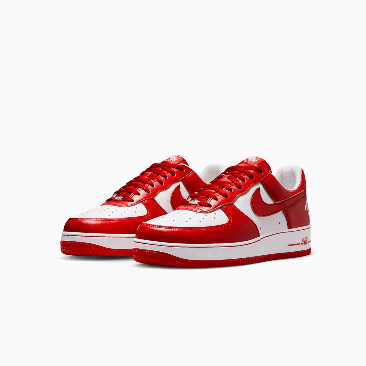 Men's Air Force 1 Low X Terror Squad