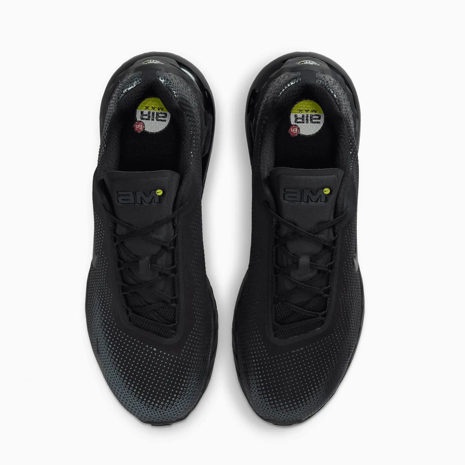 Men's Air Max Phoenix "Black Anthracite"