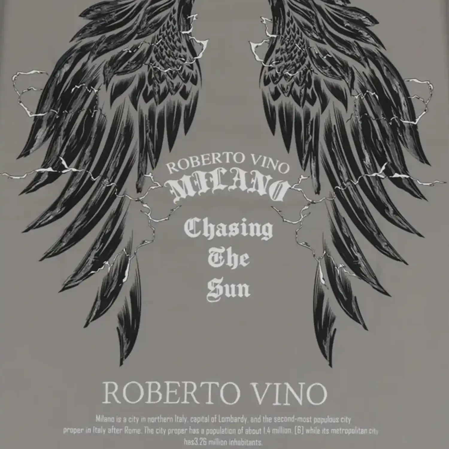 Men's Chasing The Sun Crew Neck T-Shirt Roberto Vino - Tops and Bottoms USA
