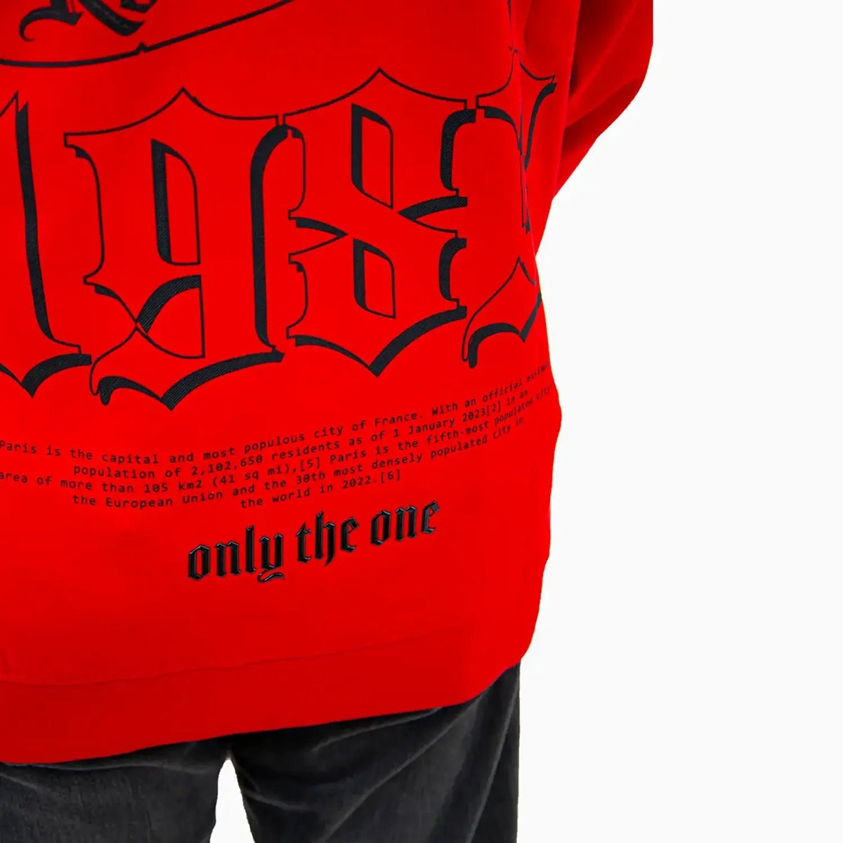 Men's Paris Pull Over Hoodie Roberto Vino - Tops and Bottoms USA