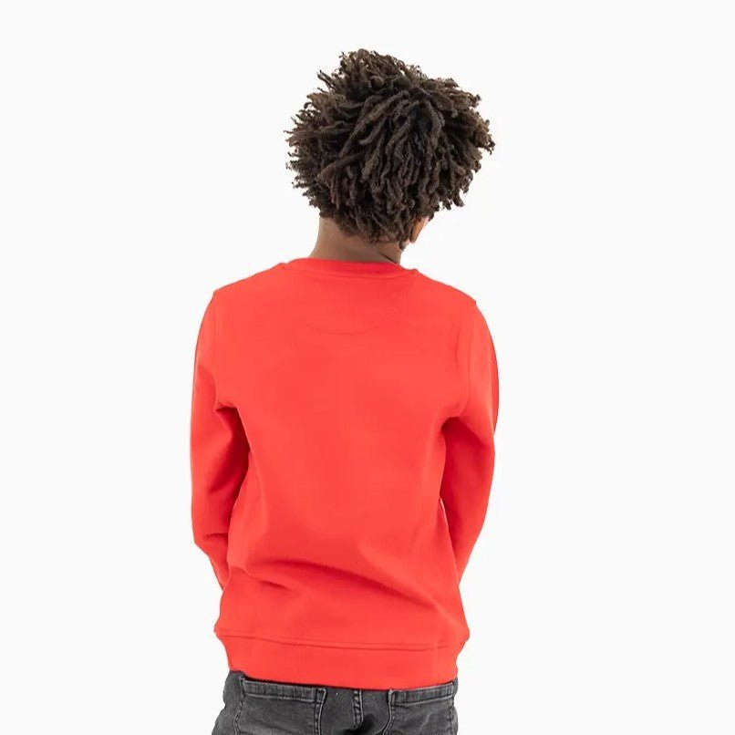 Kid's Gradient Crew Neck Sweatshirt Savar - Tops and Bottoms USA