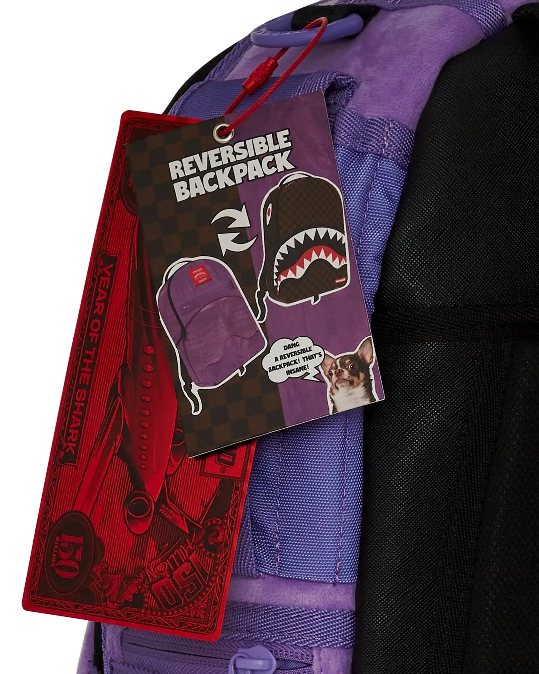 Inverted Shark Pocket Backpack