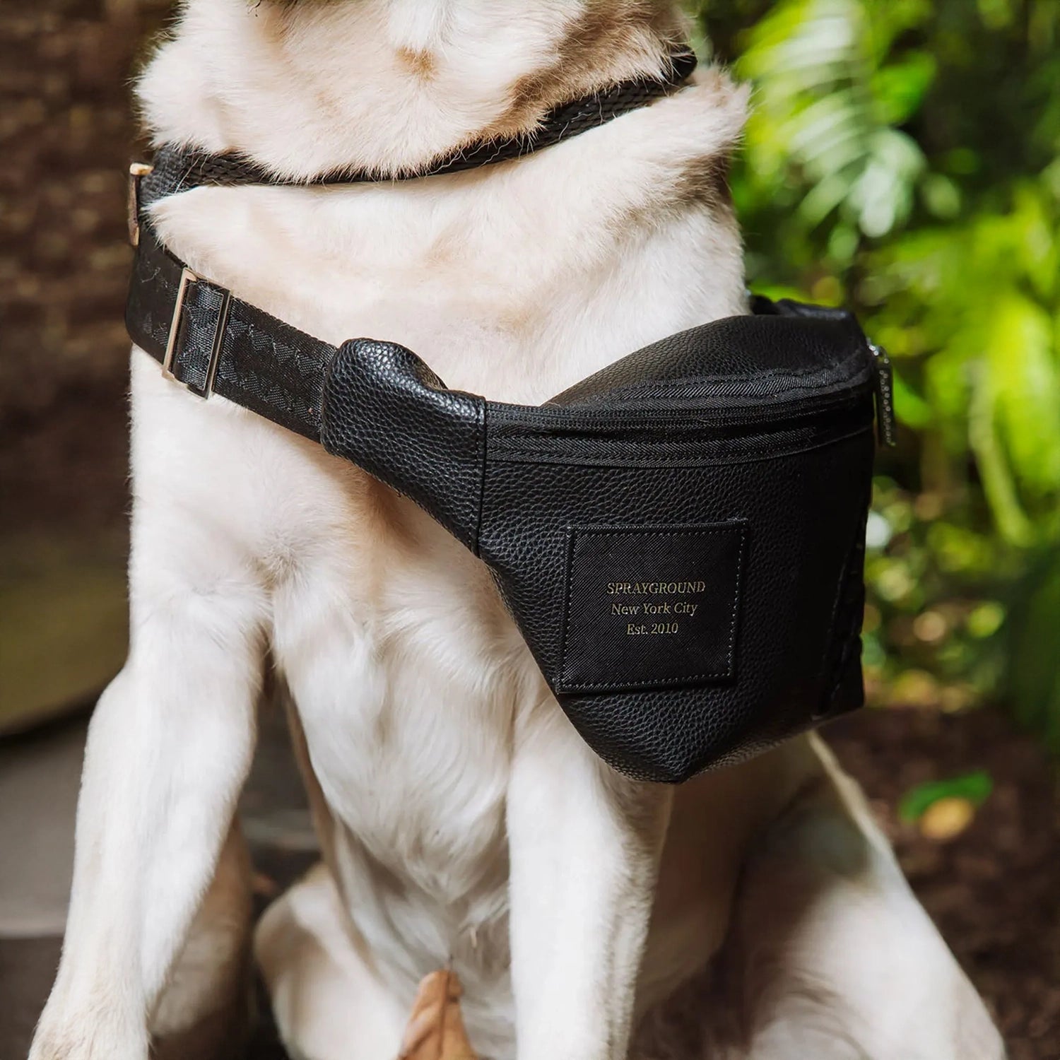 The HQ Savvy Crossbody Sprayground - Tops and Bottoms USA