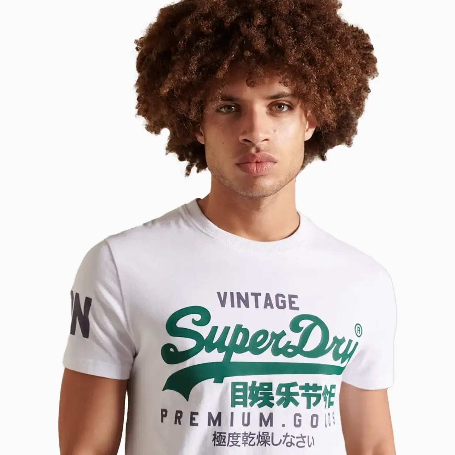 superdry-mens-organic-cotton-classic-graphic-logo-t-shirt-m1011356a-01c