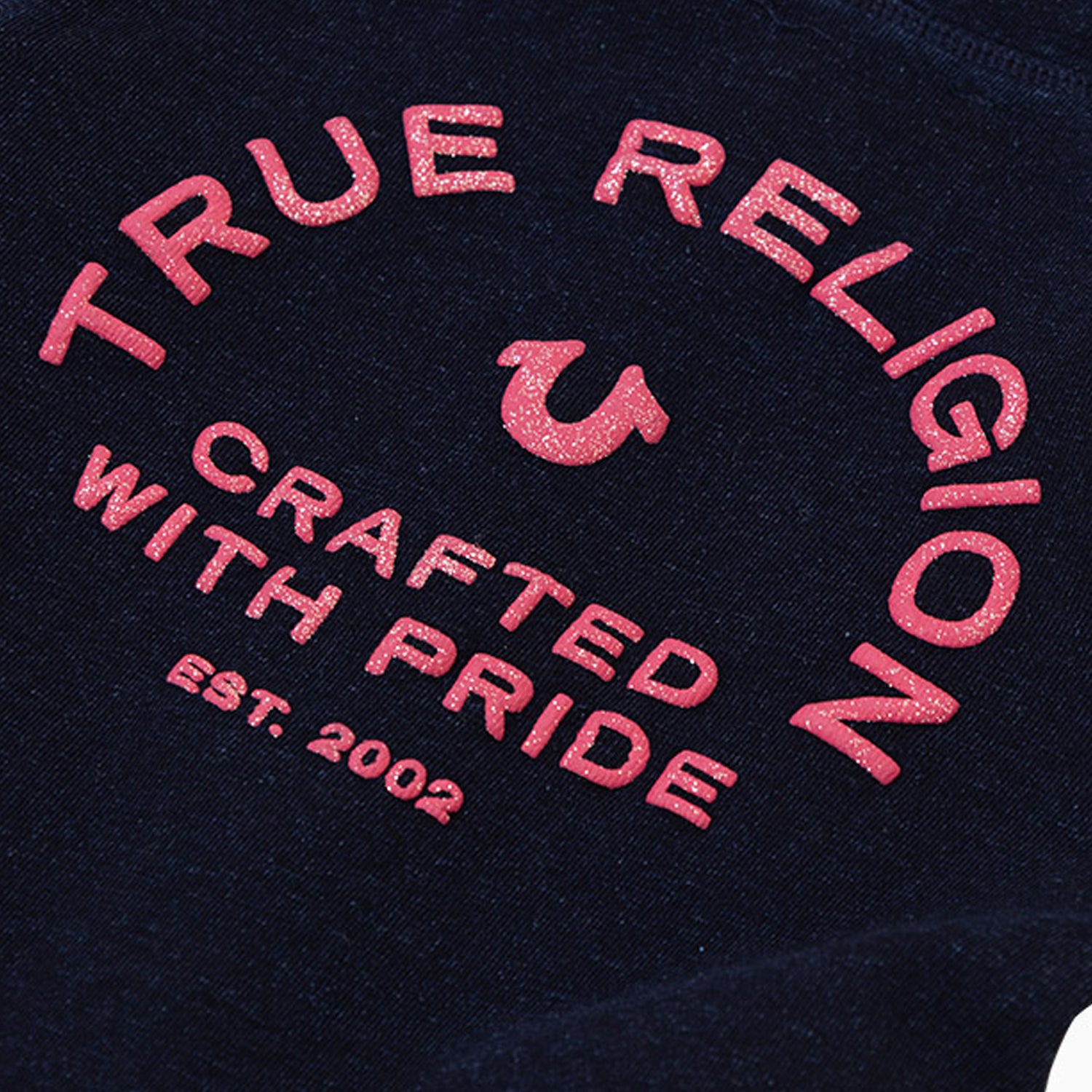 true-religion-kids-french-terry-hoodie-tr635hd08-td