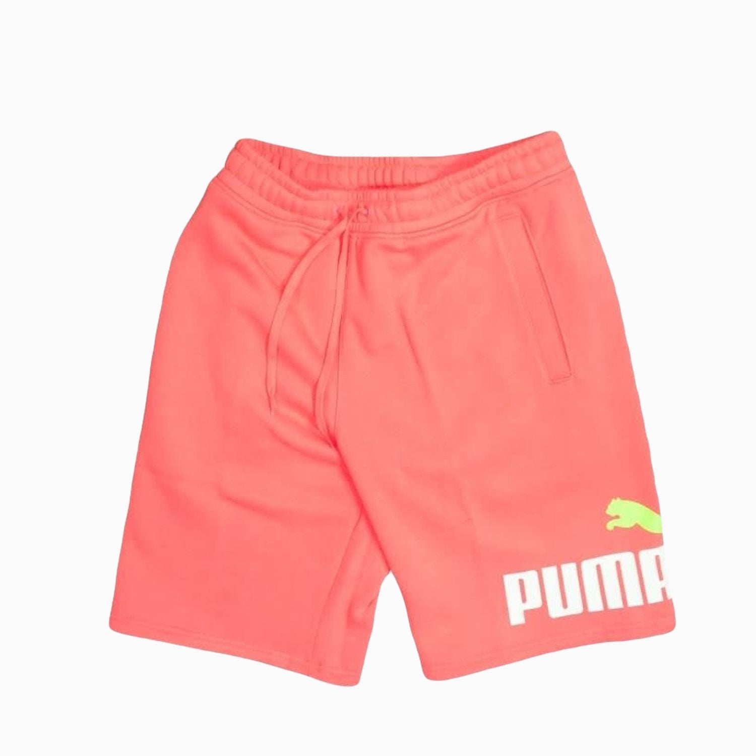 puma-mens-big-fleece-logo-short-588501-79