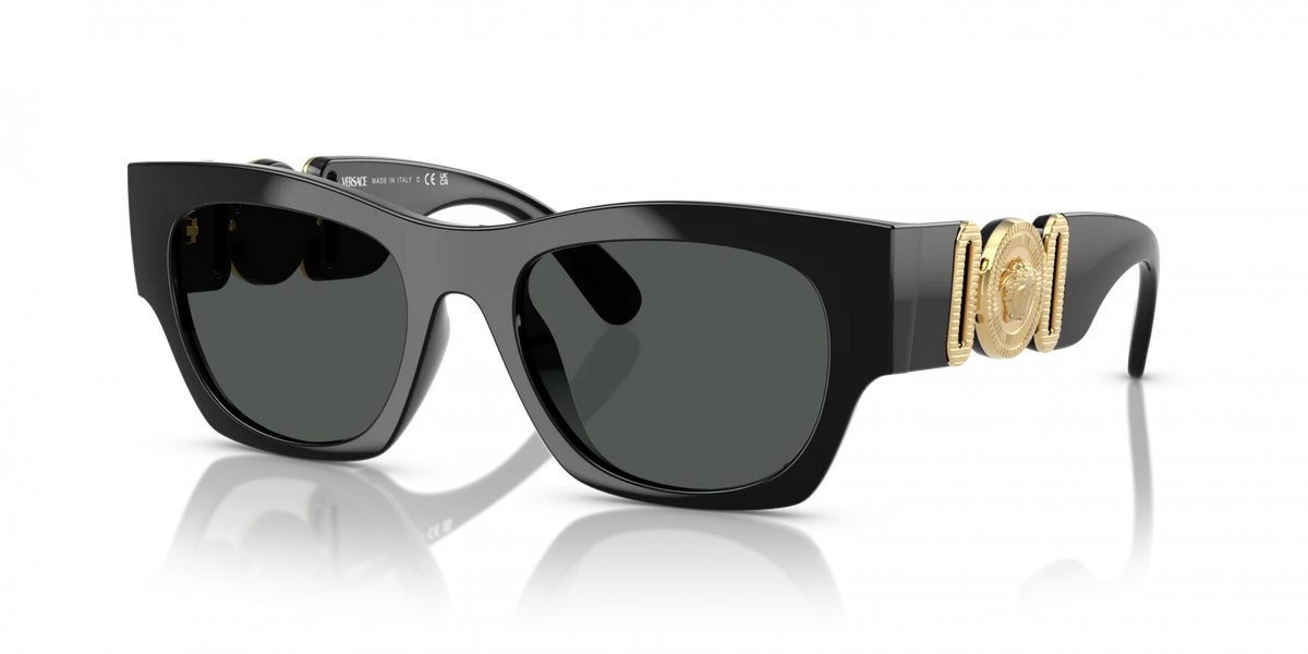 Men's Versace Black Dark Grey Sunglasses