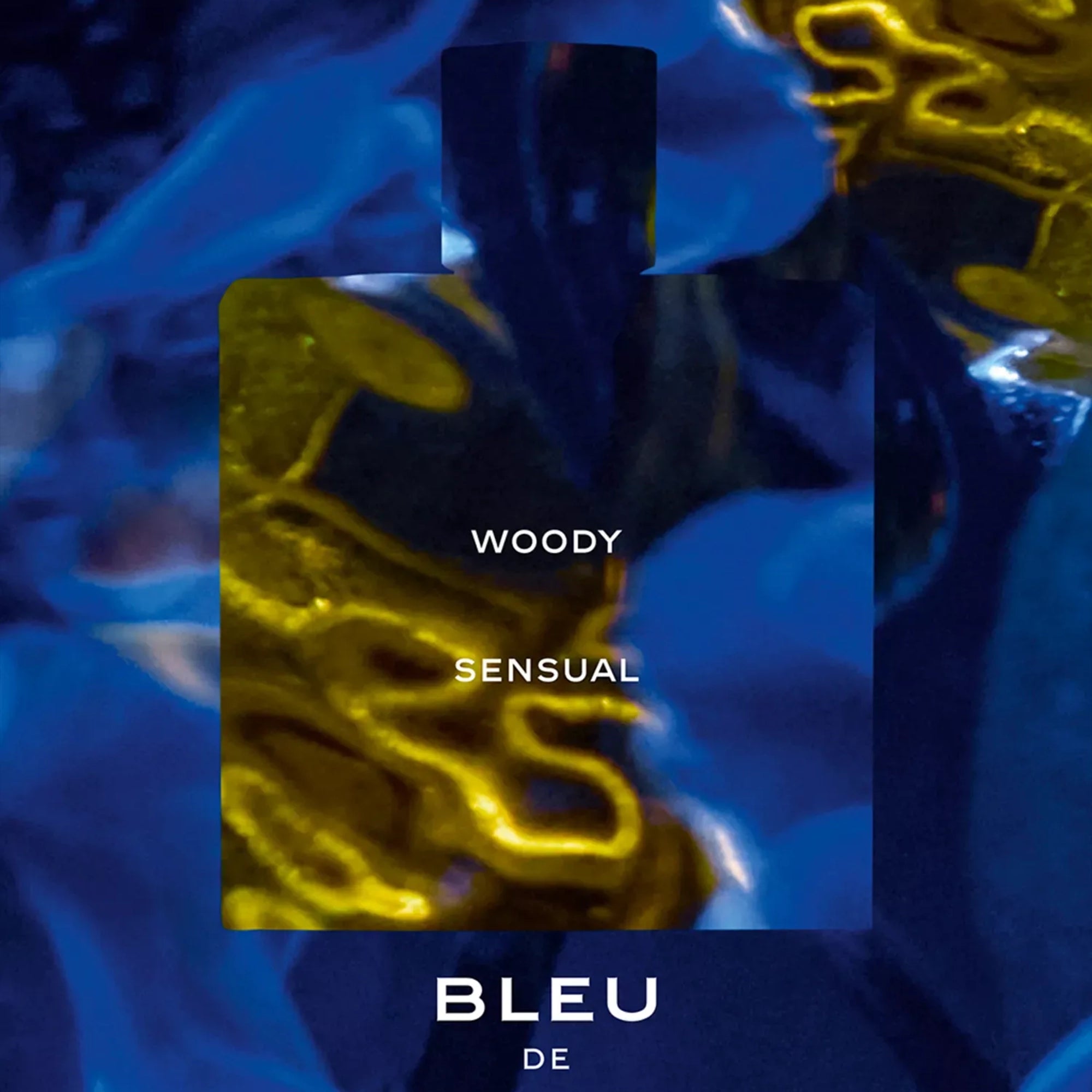 Men's Bleu De Chanel Edp 3.3 Oz