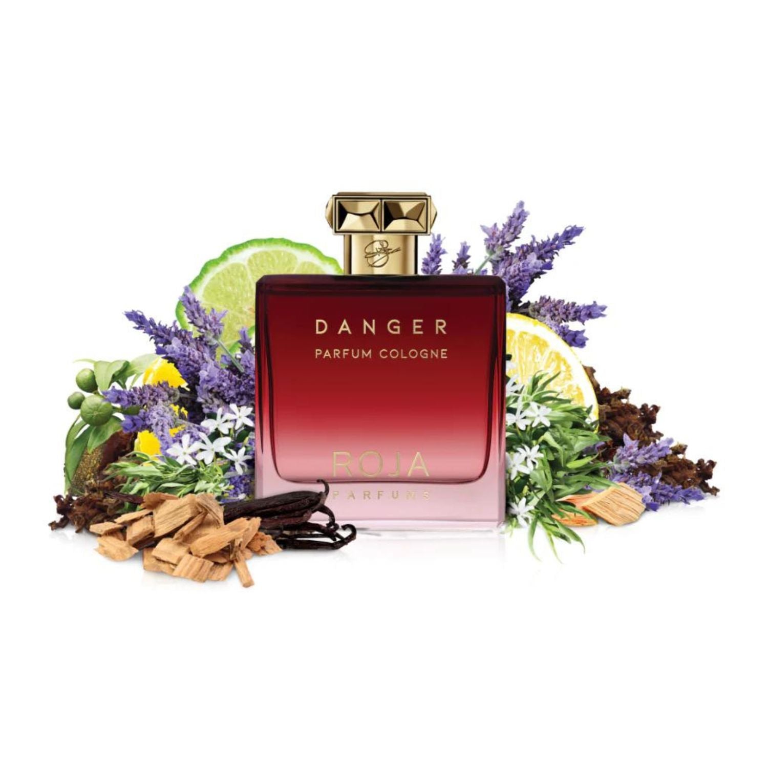 Men's Roja Parfum Danger 3.4 Oz