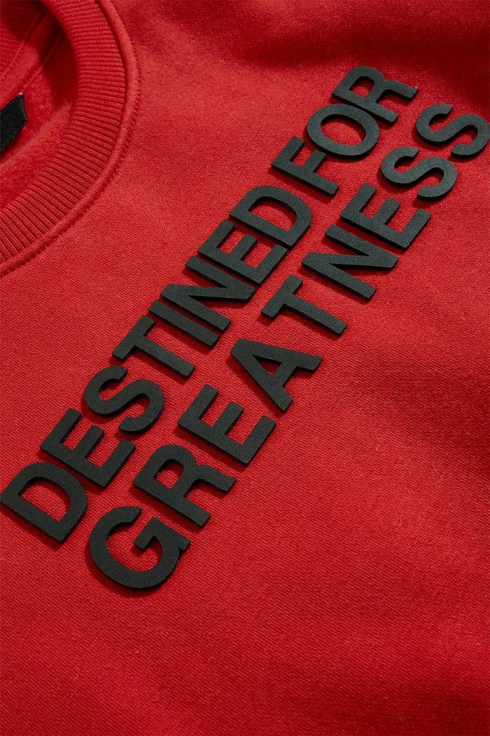 Kid's Destined For Greatness Crew Neck Sweatshirt