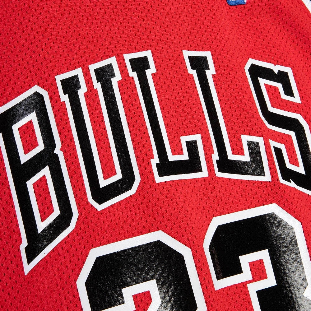 Authentic Michael Jordan Chicago Bulls NBA 1991-92 Jersey
