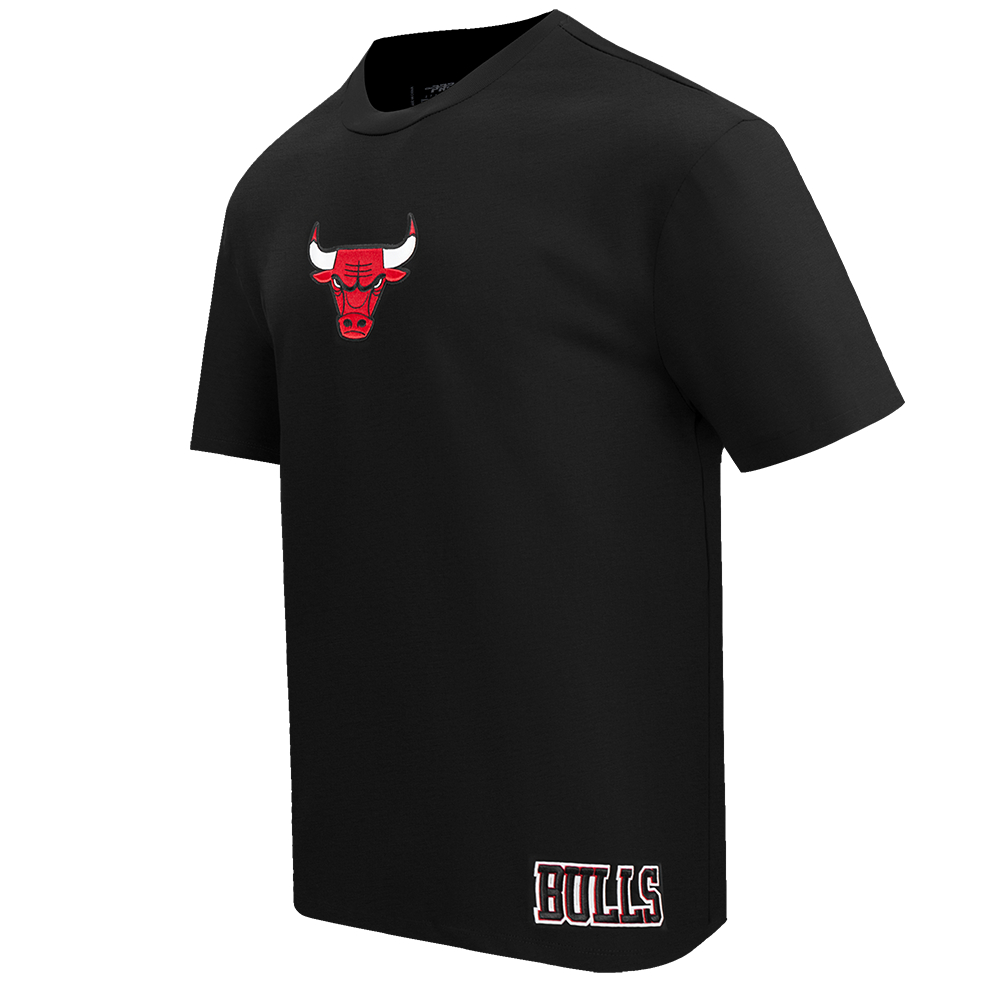 Men's Chicago Bulls NBA Wingspan Drop Shoulder T-Shirt