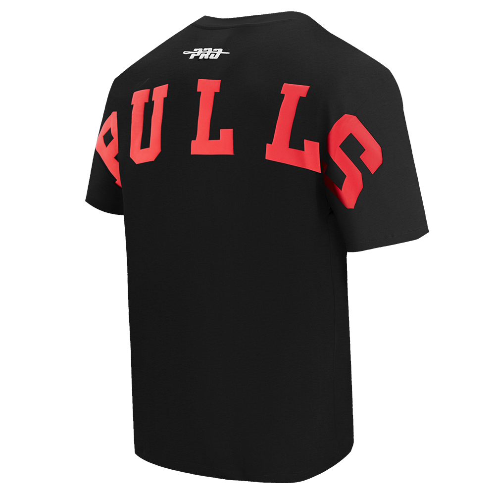 Men's Chicago Bulls NBA Wingspan Drop Shoulder T-Shirt