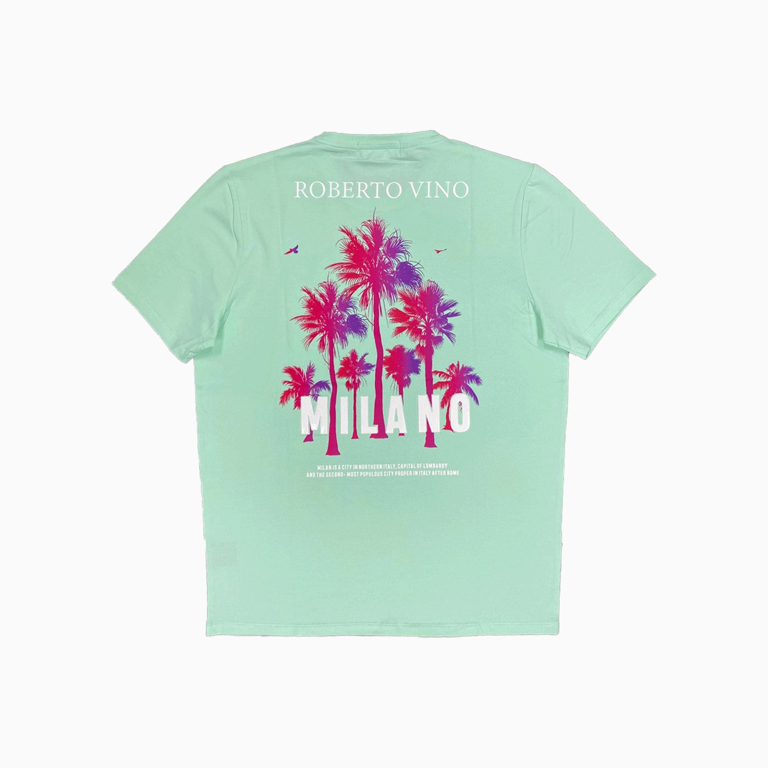 roberto-vino-mens-milano-crew-neck-t-shirt-rvt45-001