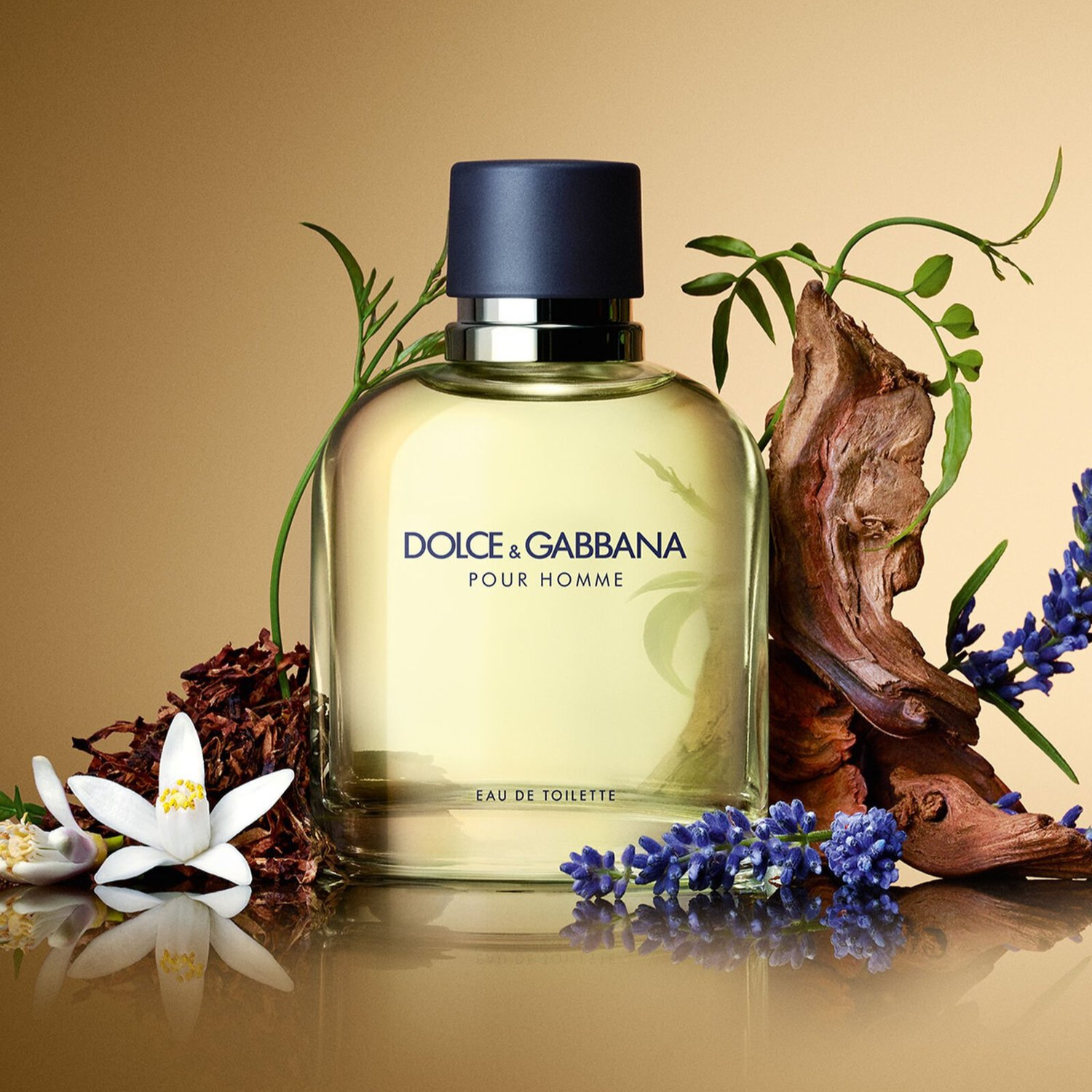 Men's Dolce And Gabbana Pour Homme EDT 4.2 Oz