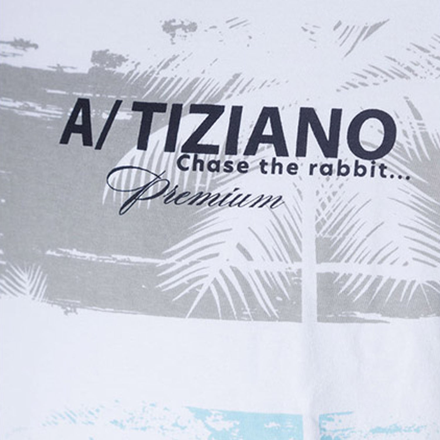 a-tiziano-mens-flynn-jacquard-knit-shorts-42atm1602-drizzle